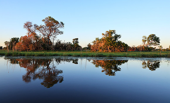 Delta of Okavango