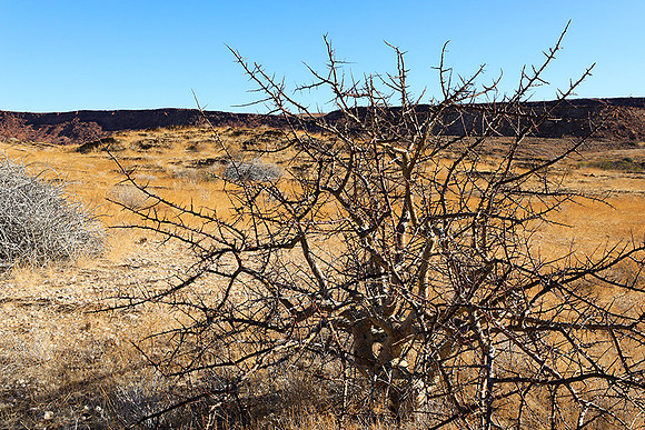 Damaraland