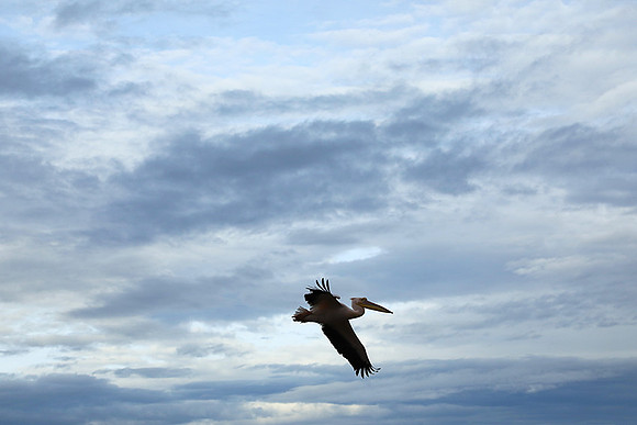 Lake Nakuru
