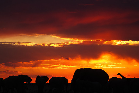 Sunset - Nxai Pan