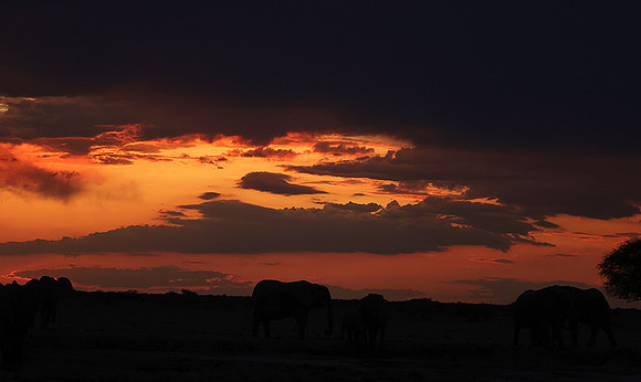 Sunset - Nxai Pan