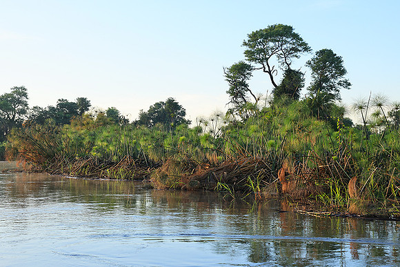 Delta of Okavango