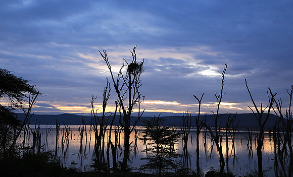 Lake Nakuru - sunrise