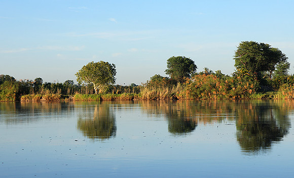 Delta of Okavango