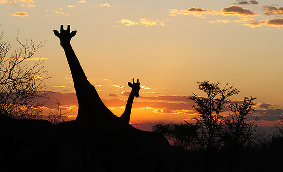 Sunset - Tau Pan