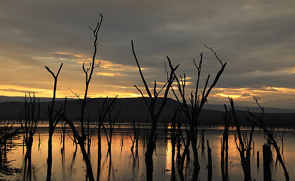 Lake Nakuru - sunrise