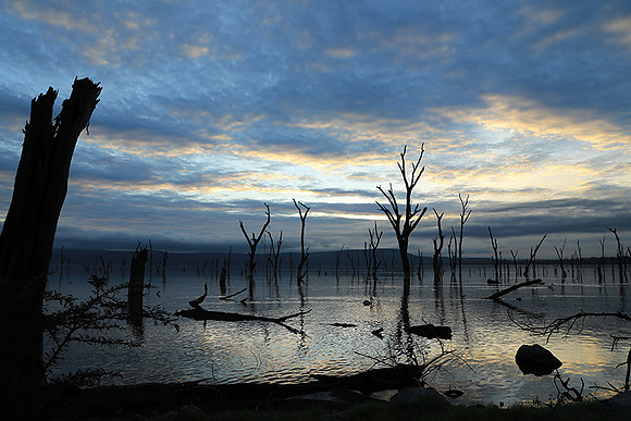 Lake Nakuru - sunrise