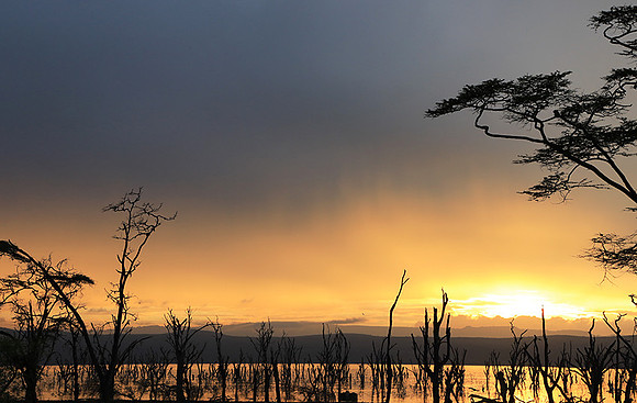 Lake Nakuru - sunrise