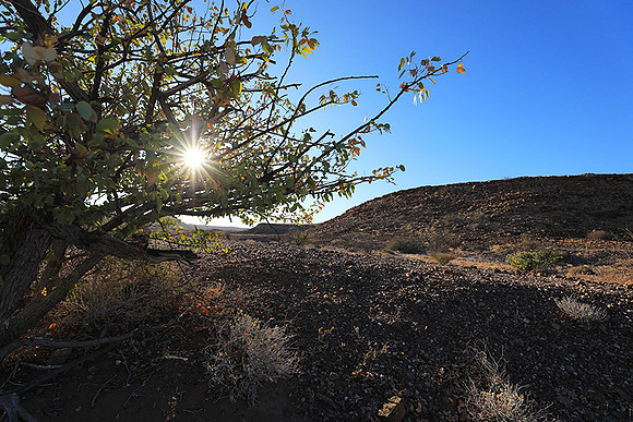 Damaraland