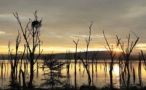 Lake Nakuru - sunrise