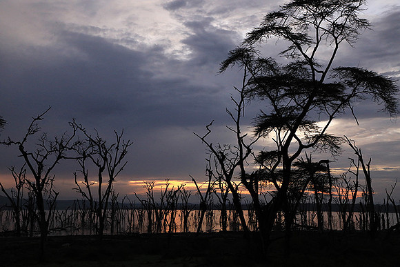 Lake Nakuru - sunrise