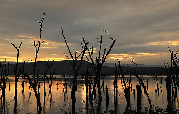 Lake Nakuru - sunrise