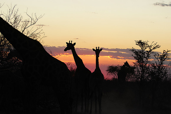 Sunset - Tau Pan