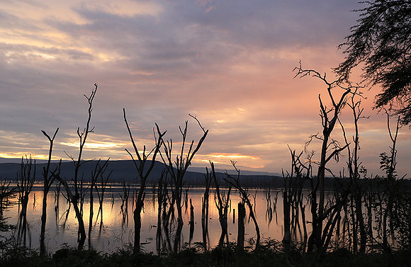 Lake Nakuru - sunrise