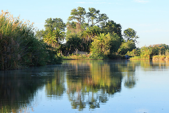 Delta of Okavango