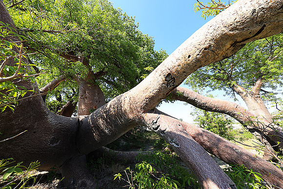 Botswana