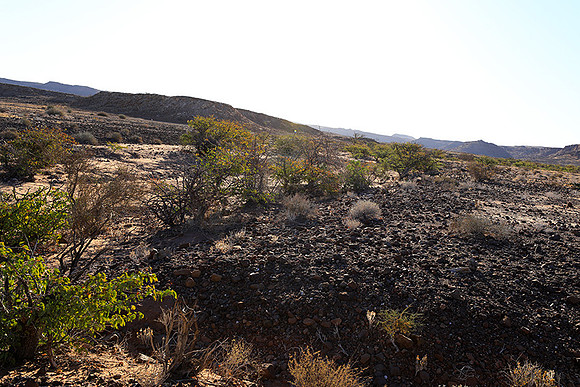 Damaraland