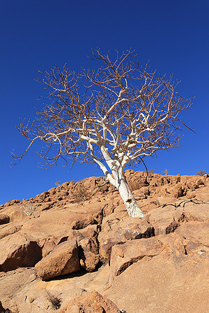 Damaraland