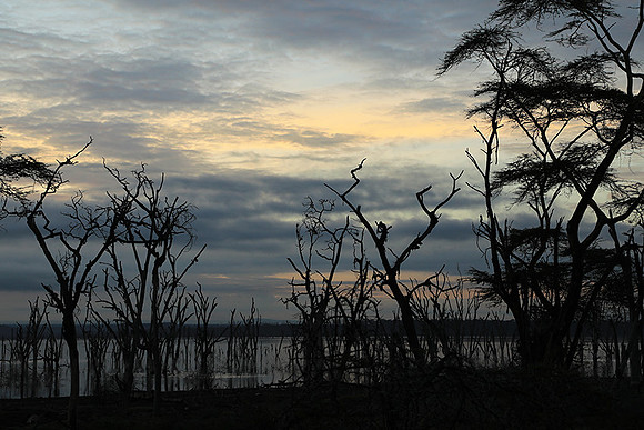 Lake Nakuru - sunrise