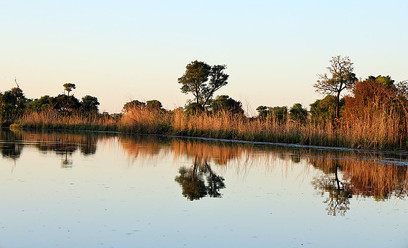 Delta of Okavango