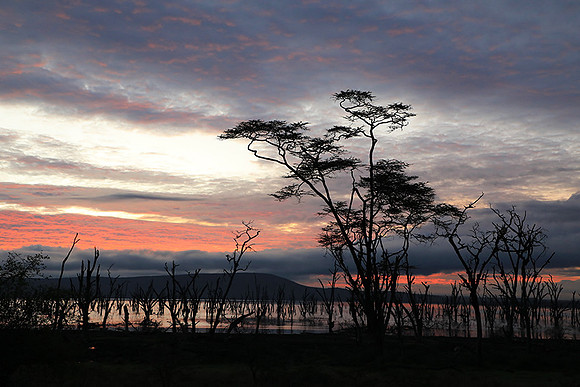 Lake Nakuru - sunrise