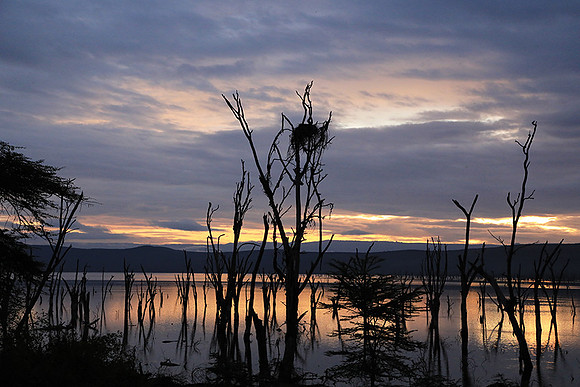 Lake Nakuru - sunrise